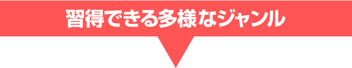 習得できる多様なジャンル